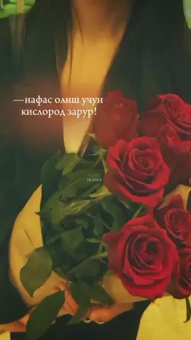 #❤️💋 @S/D #janim❤️