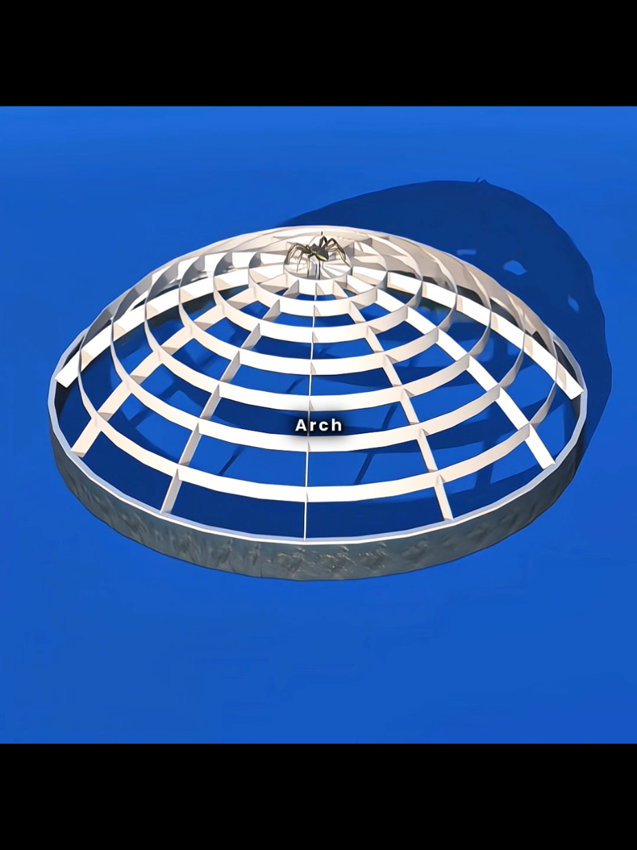 From Sagging Roofs to Epic Arches: Engineering the Ultimate Design! 🤯 #engineering #architecture #design #3danimation #LearnOnTikTok 