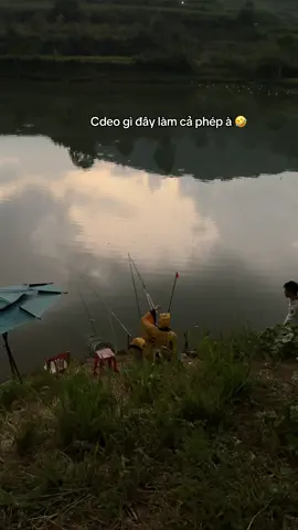 Ra dại luôn 😂#viral #xh 