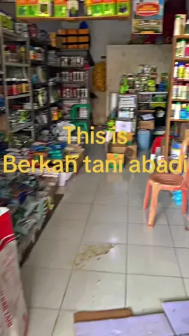 Terimakasih untuk segala aspek 👌 #pejuangrupiah #pamijahanbogor #petaniindonesia🇮🇩🇮🇩🇮🇩🌿🌿 #petanimuda #fyp 