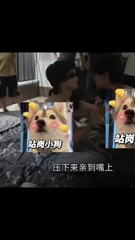 cuối cùng cũng tới rồi😋😋 #ziyu #tianxuning #revengedlove #tianziyu #leipeng 