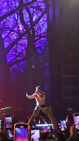 Natural - Imagine Dragons  #loomtour #peruconcierto #imaginedragonsperu2025 #imaginedragons #fanpage 