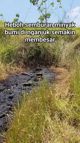 semburan minyak di nganjuk jawatimur semakin membesar #tambang #tambangminyak #sumurminyak #viral #fyp 