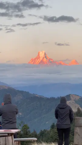 Where the sun kisses the Himalayas goodnight — Mohare Danda’s golden hour magic.🌄🌅 Contact us for pre booking   What’s app: 9748762454