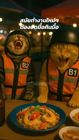สมันทำงานใหม่ๆต้องอดมื้อกินมื้อ #คลิปนี้ต้องฟีด #คลิปตลก #แมว #ai #fyp 