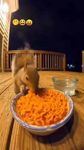 I love eat 😋😆😂#funnyvideo #fypシ゚viraltiktok☆♡🦋myvideo #tikokforyoupage #100kfollowers 