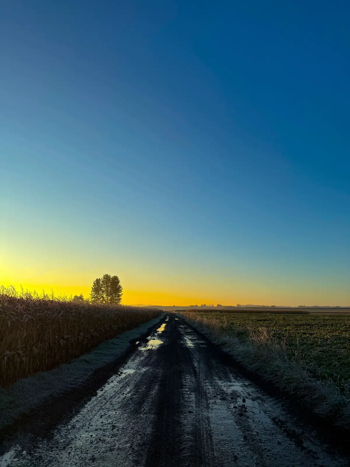 #nature #naturephotography #countryside #autumn #october 