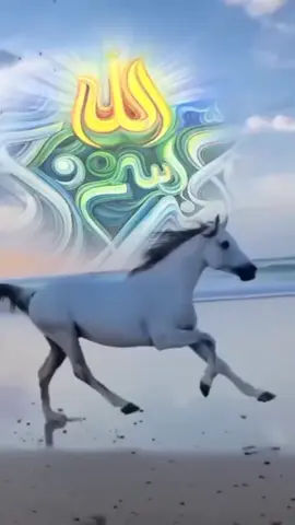 suamimu adalah surgamu