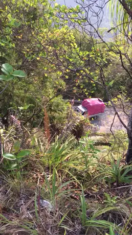 pendakian puncak batas Sulawesi Tenggara 😫#trending #beranda #bataskotakendarisulawesitenggara #pendakian #storydriver 