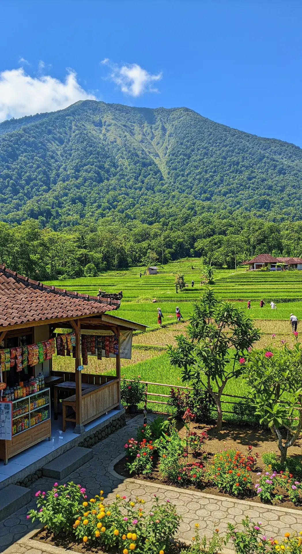 #vibes #foto #suasanapedesaan #fypシ゚ 