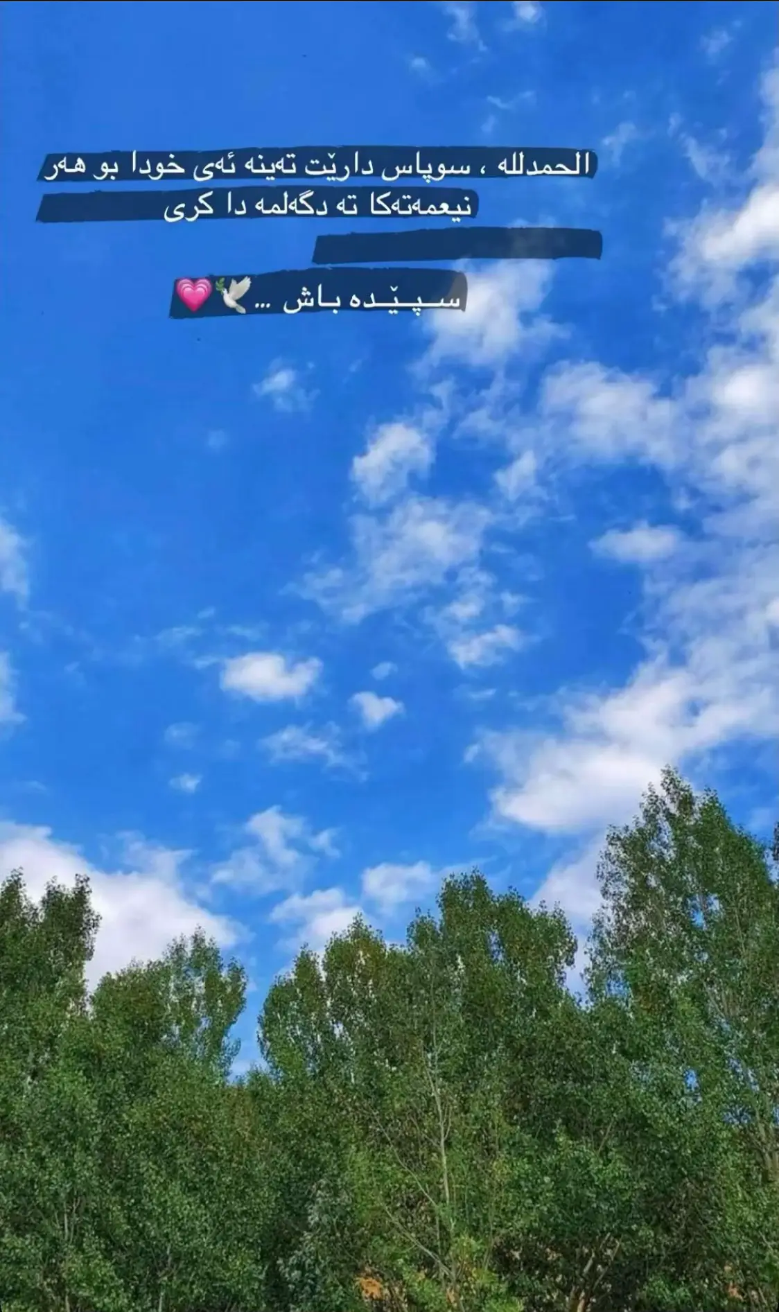 #foryoupage #foryou #fypシ #duhok_zaxo_amedi_semel_akre #دهوك_زاخو_سليماني_ئاكري_ئامیدی_هولیر 