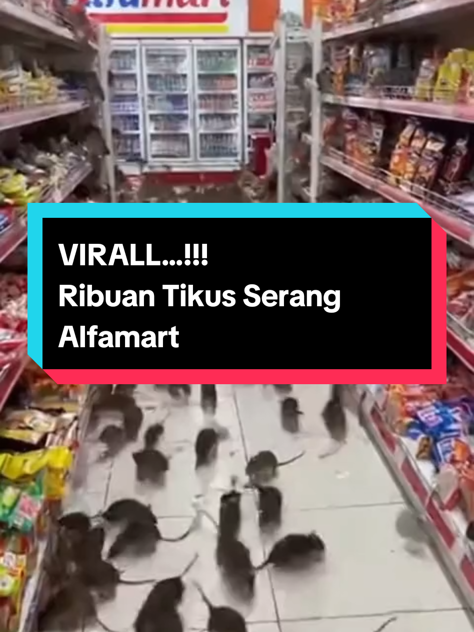 VIRALL.. Ribuan Tikus Serang Alfamart #funnyvideos #funny #videolucu ##viral #videoviral 