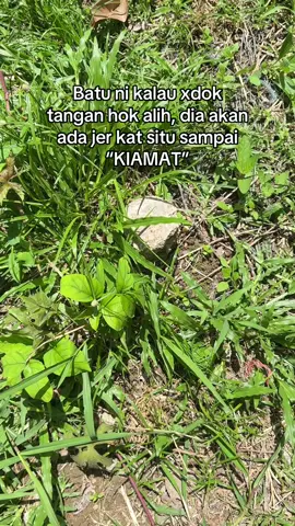 batu paling bahaya di dunia, kene mengukur dulu baru boleh start nak buat rumah impian #easybinahomes #rumahidaman #jurukurtanah #ukurtanahkelantan #trending 