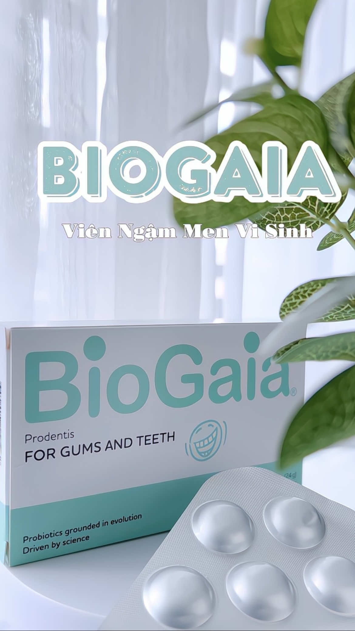 Men vi sinh Biogaia không lo hôi miệng #biogaia #vienngamthommieng #chamsocrangmieng  #vienngamvisinhbiogaia 