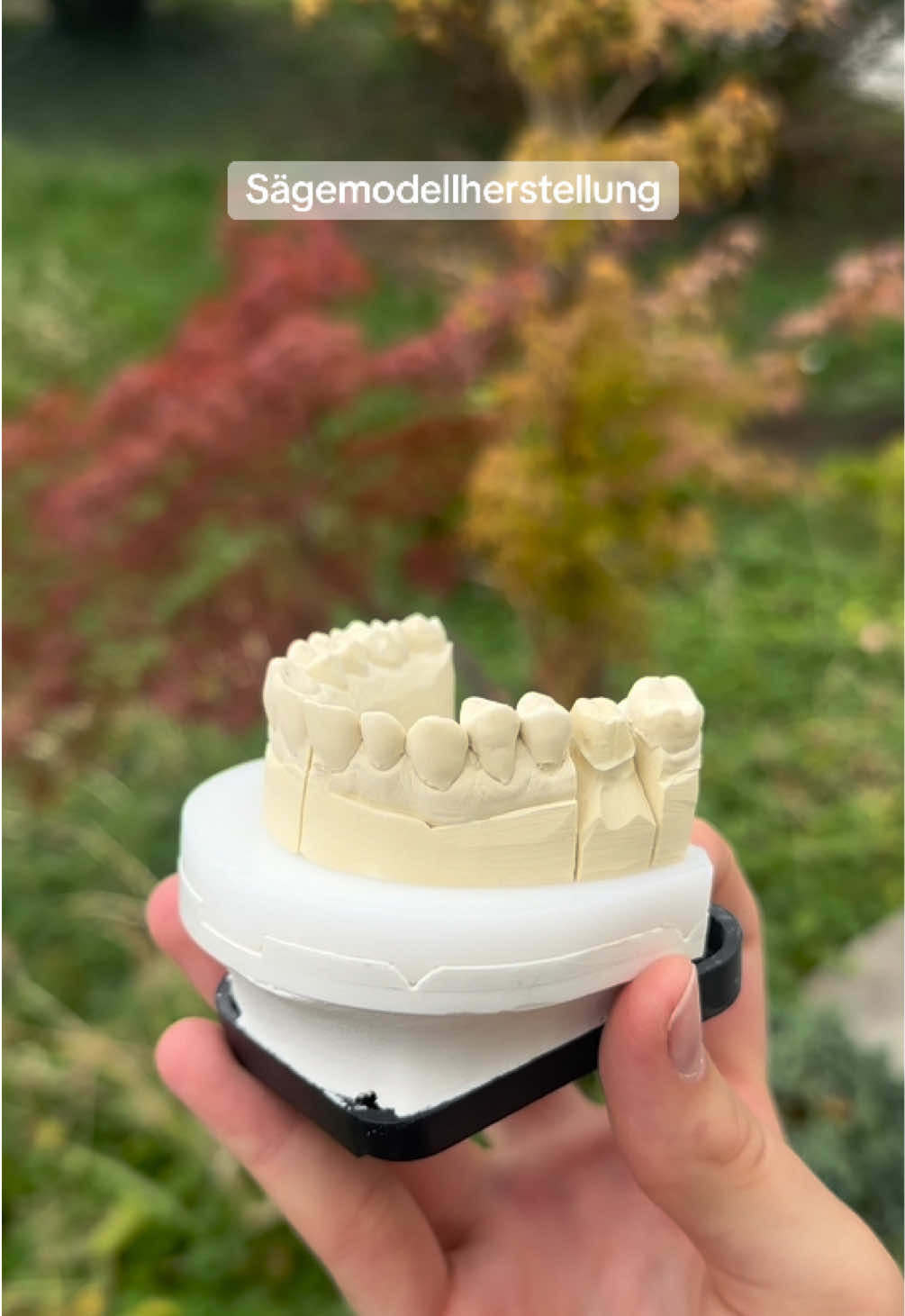 Sägemodellherstellung #zahntechnik #dentaltechnician #ausbildung #work #zahnarzt 