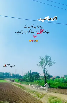 احمد صاحب بلکل💔#plzviral🥺🥺🙏🙏foryoupage #foryou #fyp #poetry #sadpoetry @Nimra Mehra @Urdu Poetry 