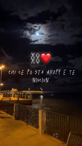 ##giannifiorellino #musica #voliamoneiperte✈️✈️🦁a360grad #primaksummerup🍓🍋 #viral 