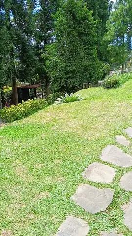 #CapCut  #damarlangitresort 