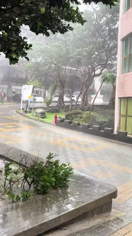 Có thể là bay về tới Việt Nam lunn😑😑#taiwan🇹🇼 #duhocsinhtaidailoan🇹🇼🇻🇳 #文化大學 #vanhoatrungquoc