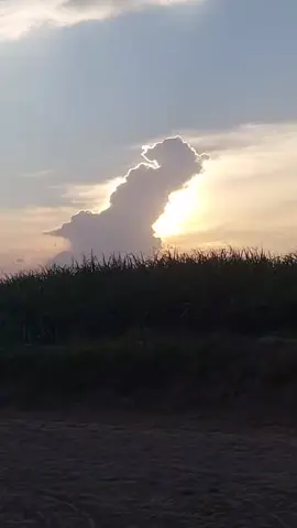 #pakistanzindabad