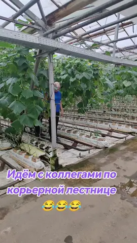 #покарьернойлеснице@kiselevich2Екатерина @Stephanie @Настёна 😉 