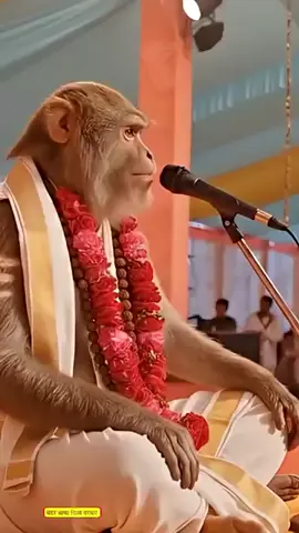 #जयश्रीभोलेनाथजी🕉️🛕👍🙏 #gmdiwanamithleshchauhan #tiktokviralvideo #trending #10klike🙏 🕉️ 👍