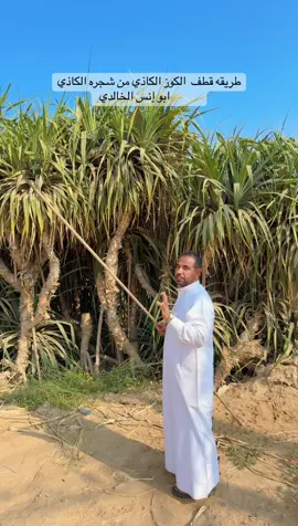 #اكسبلور_أبو_انس_الخالدي 