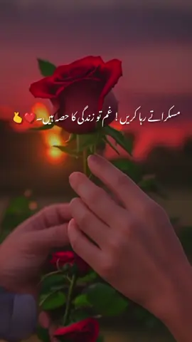 #creatorsearchinsights #foryoupagе 