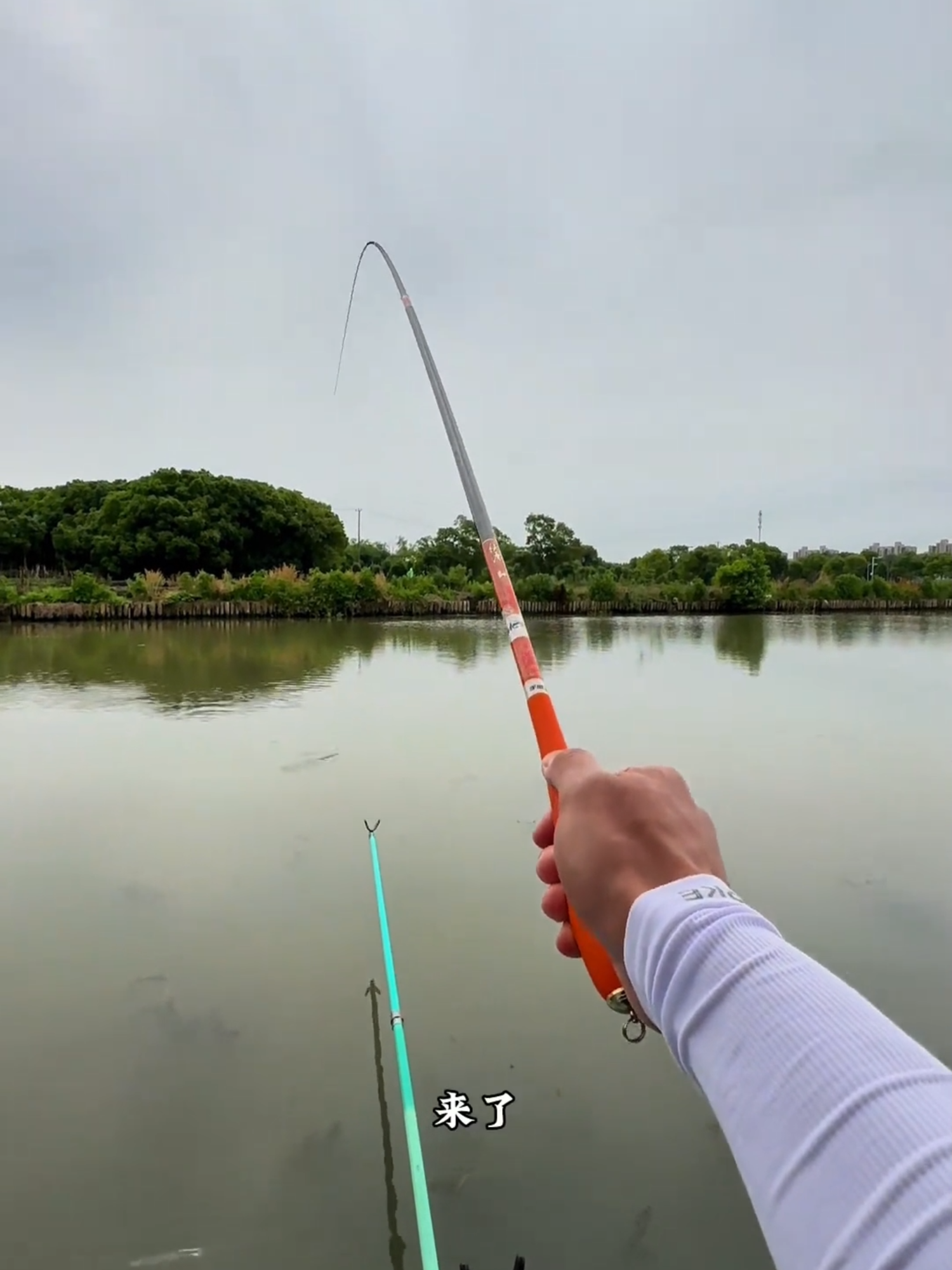 Đang câu cá chill chill thì lại câu được con chép to 😄 #cauca #caucagiaitri #fishing #caucatunhien #caucachuyennghiep