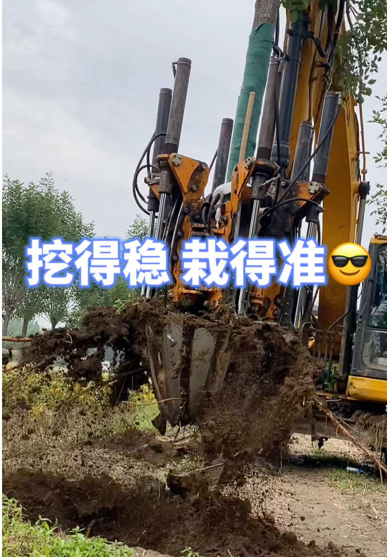 常青挖树机 Machanization of Agriculture and Electrification,christmas trees #treespade #treespade machine #treespade for sale #tree mover