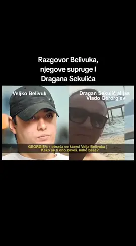 Kralj!!! #veljanevolja #fyp #izprincipa #viral #grobari 