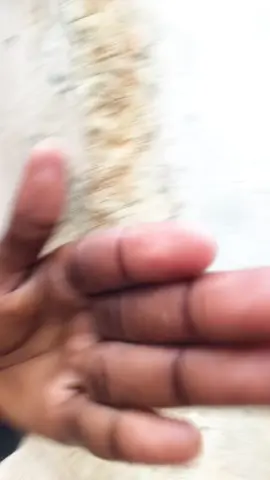 🤗🤗😍🤫@Anselmo da Silva @𝐒𝐀𝐌𝐔𝐊𝐀 🥇📌 #delmagomes #massababada 