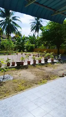 I 💜 kota baru Kelantan   Good evening my.  All frinds.@꧁❤༺𝑨𝒍𝒐𝒏𝒆𝑳𝒊𝒇𝒆༺❤꧂ 