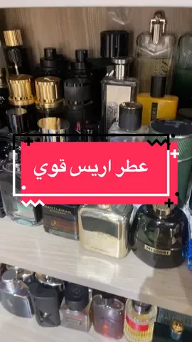 عطورات #fypシ #fypagee #viral #عطور #trending         @San-severo 