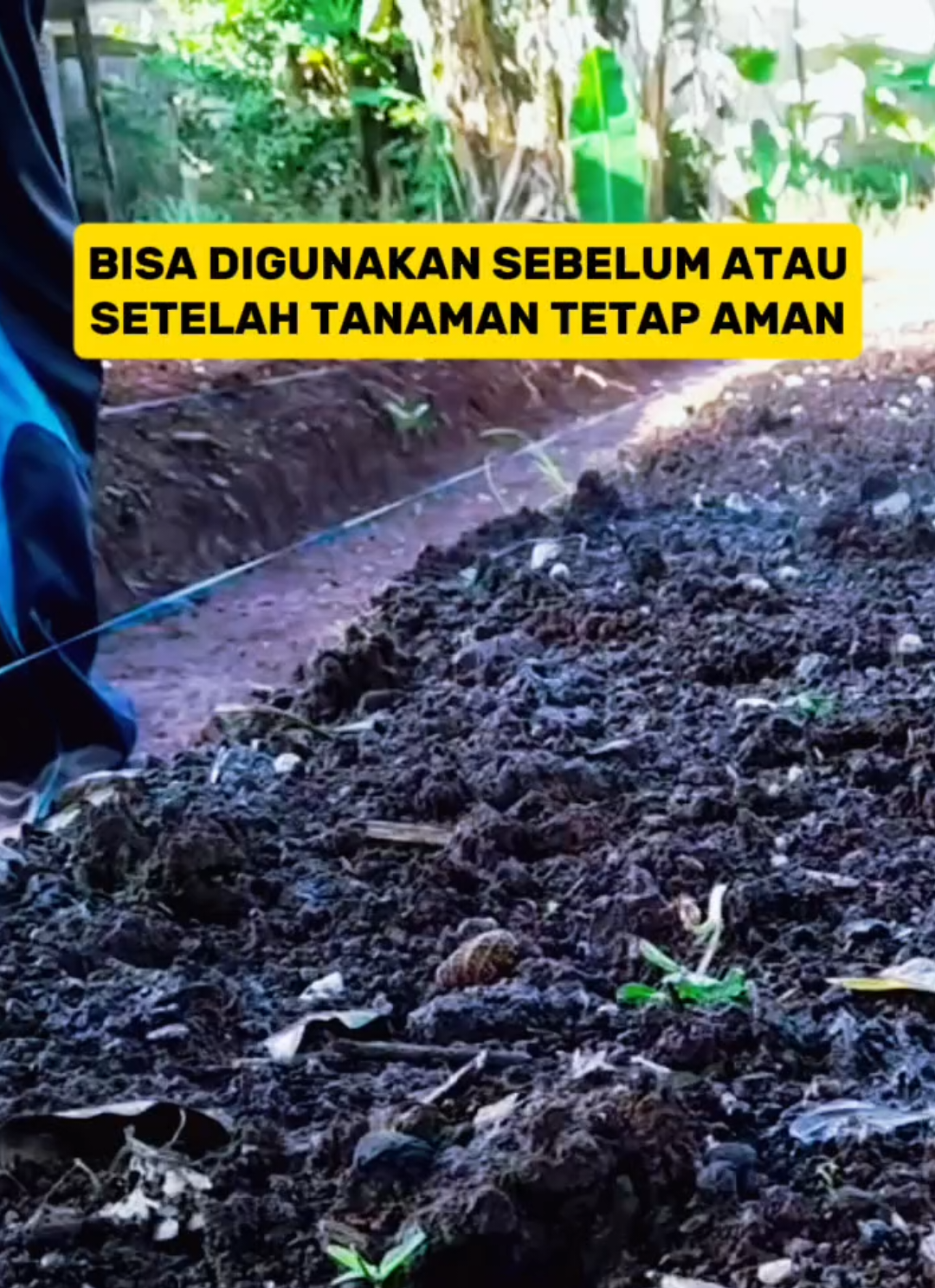 obat penyubur tanah dekomposer m-21 obat penyubur tanah yang sudah terbukti bisa menggemburkan tanah yang padat yang mengembalikan kesehatan tanah #obatpenyuburtanah #dekomposerm21 #creatorsearchinsights 