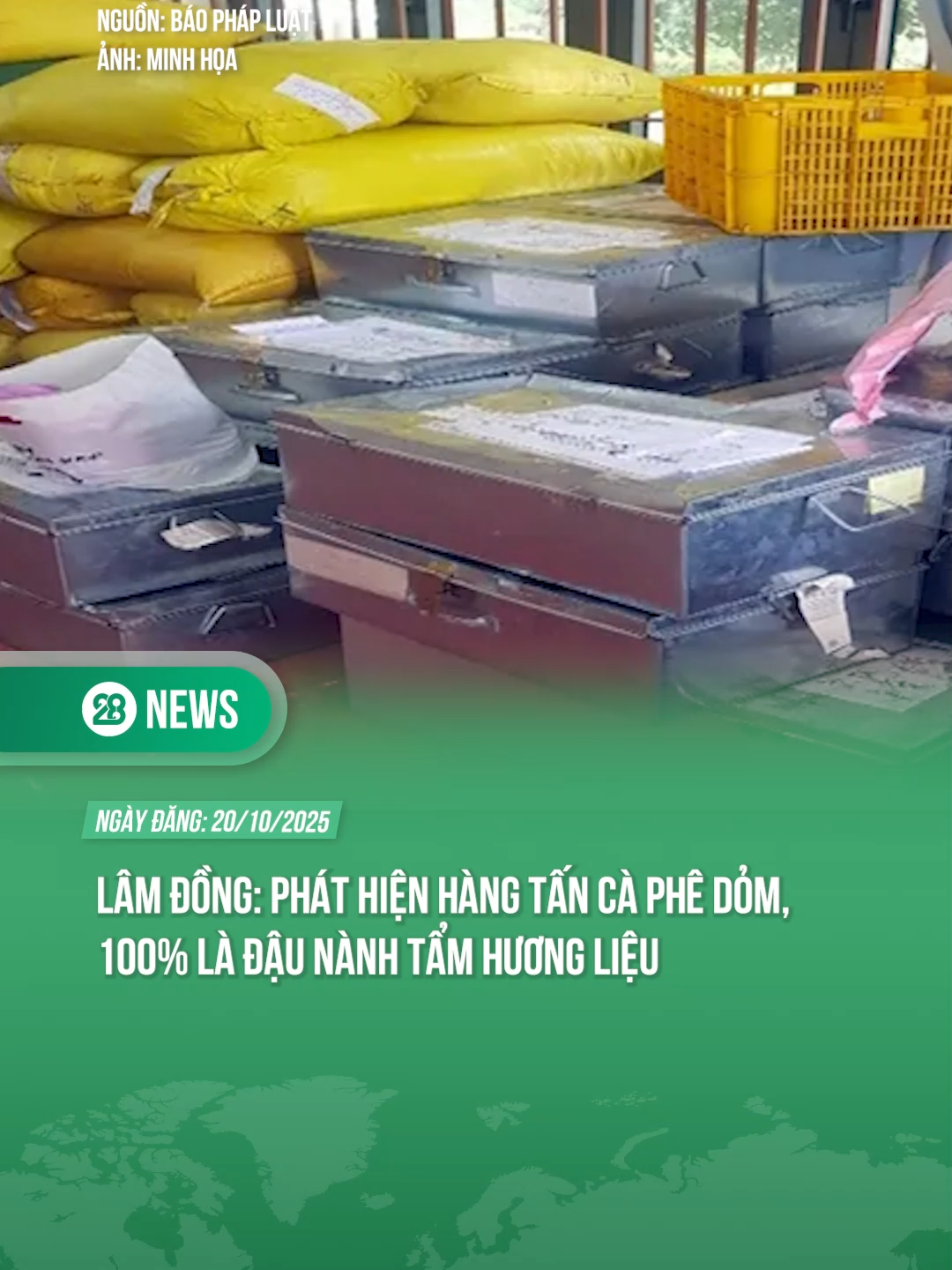 LÂM ĐỒNG PHÁT HIỆN HÀNG TẤN CÀ PHÊ DỎM, 100% LÀ ĐẬU NÀNH TẨM HƯƠNG LIỆU #theanh28 #theanh28news #tiktoknews