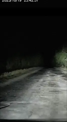 #creepytok #трасса #sora2 #horrortok #darkforest #жуть 