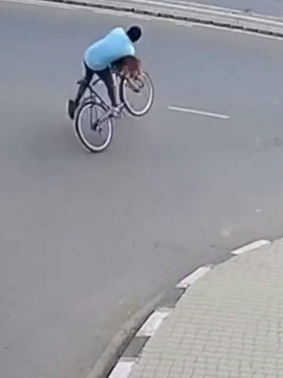 Funny dog #foryou #trending #viral 