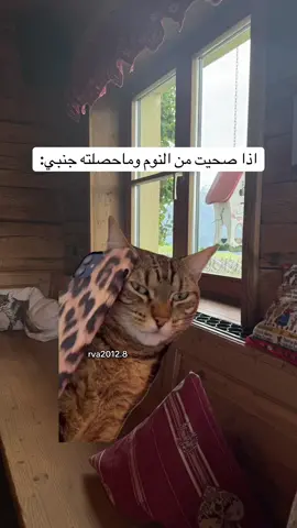 #Meme #MemeCut #viral 