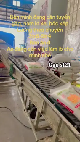 #gạo #tiktok #tuyendung Đang cần tuyển nam phụ xe bốc xếp, bao ăn ở, lương theo chuyến, Ae nào đang cần việc ib mình nhé