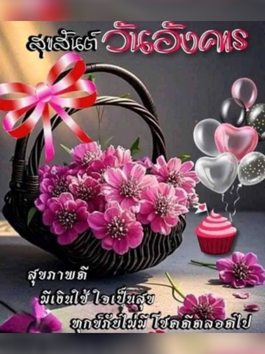 #บ้านสวน #ประจวบคีรีขันธ์🌴🍍 #สวัสดีเพื่อนๆที่น่ารักทุกคน💖🌈🥰 #ขอบคุณทุกกําลังใจ❤️ขอบคุณทุกคอมเม้น🙏 #เพื่อความบันเทิง 