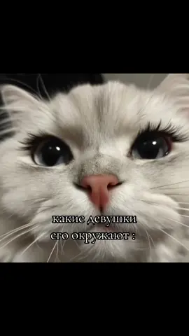 #щппосты #любовьнавсегда #щп #любовьнаростоянии 