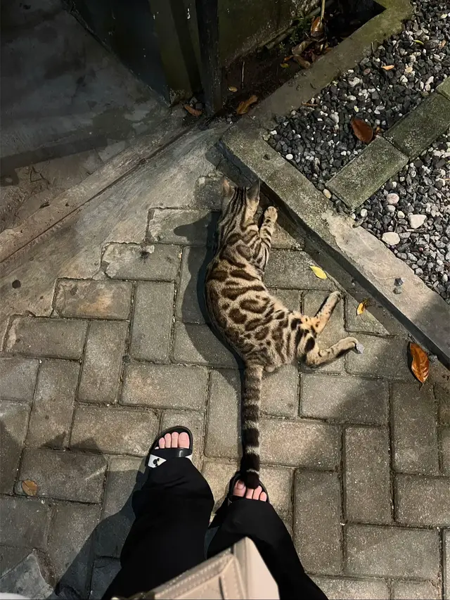 serba serbi🙆🏻‍♀️