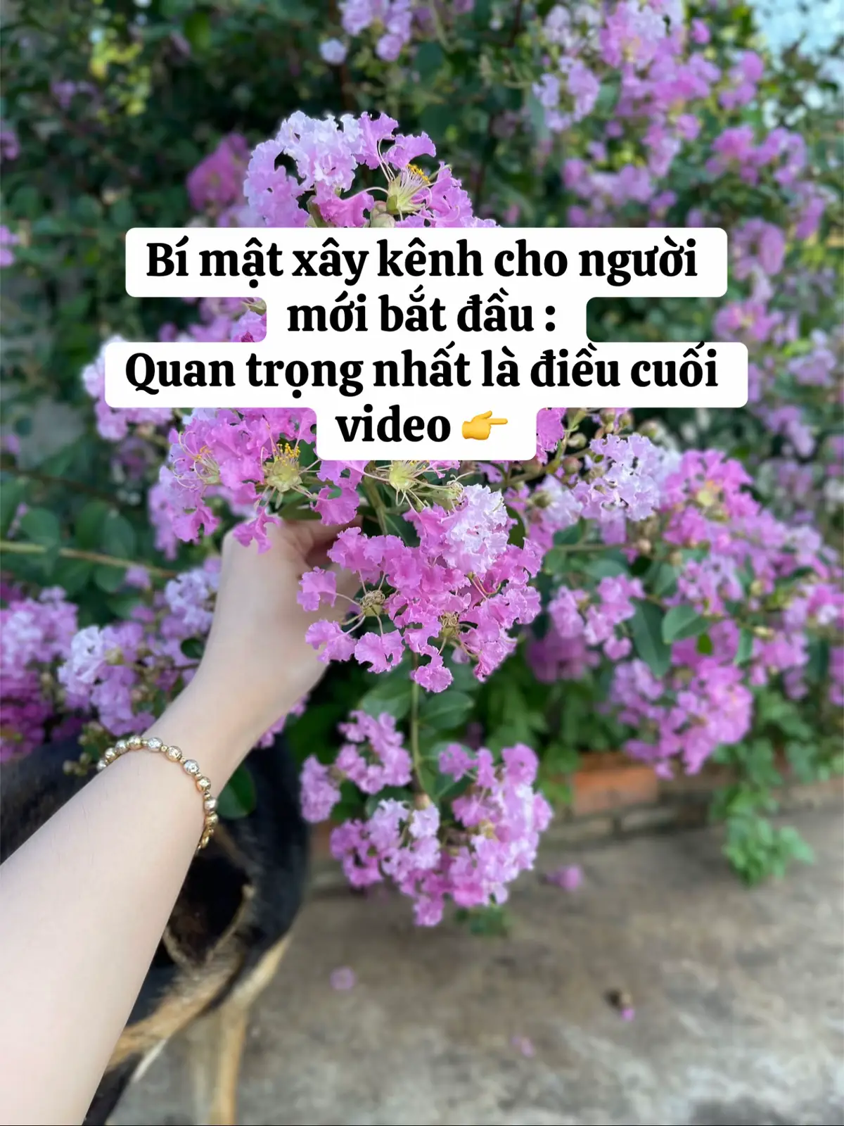 Hãy fl e để cùng nhau cố gắng học hỏi kinh nghiệm nhé. #nguoimoixaykenh #hanhtrinhxaykenh #tapxaykenh #xaykenhtiktok #affiliatetiktok 
