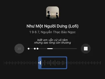biết em vẫn cứ vô tâm nhưng sao lòng còn thương.. #wseal #fyp #nhachaymoingay #nhacnaychillphet 