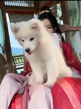 anteng banget si🐶🥰 #yuyin 