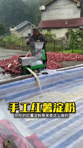 手工红薯淀粉的制作全过程，原来这么讲究！ #红薯淀粉 