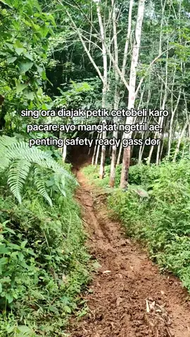 sseezz🤙#trabasadventureindonesia #trabasindonesia #lf #xybca #petikstrawberry 