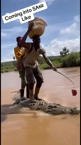 What is going on in South Africa #frontline #immigration #southafrica #sora #fyp 