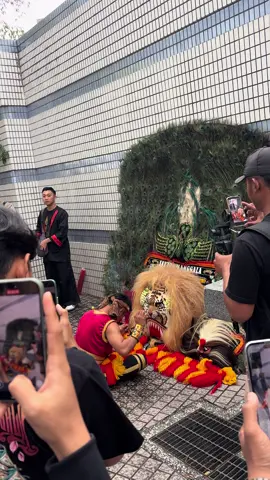 #reogponorogo reog Ponorogo in japan